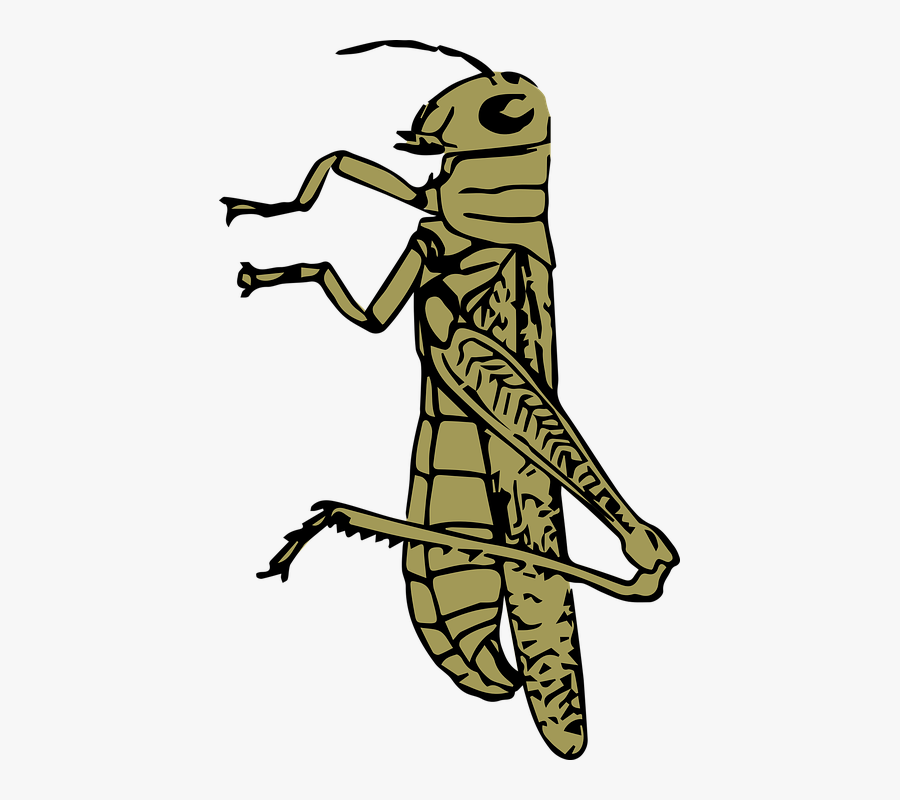 Clipart Grasshopper, Transparent Clipart