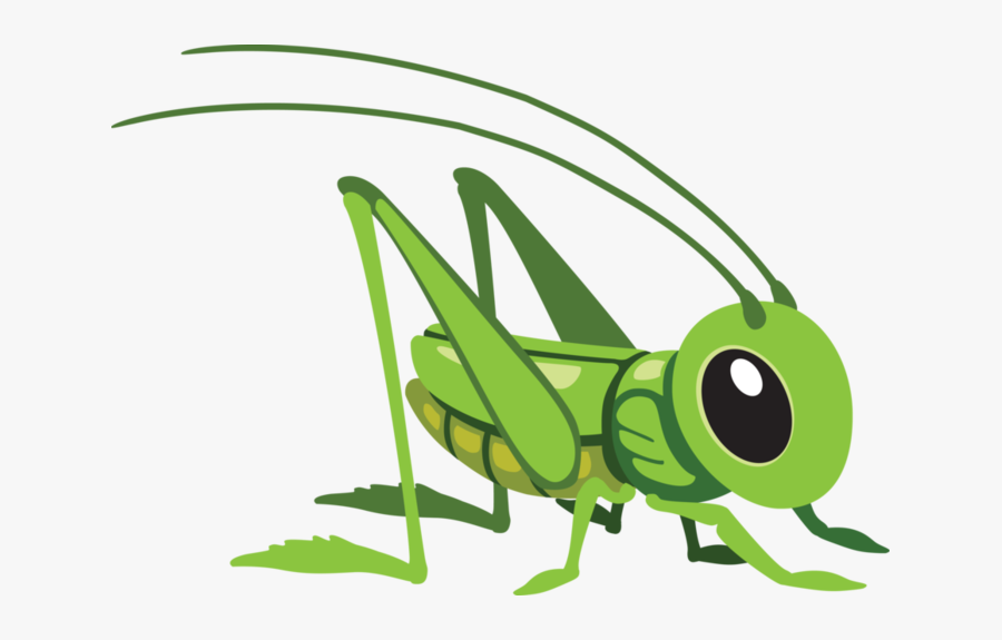 X Kb Pillang - Cartoon Grasshopper, Transparent Clipart
