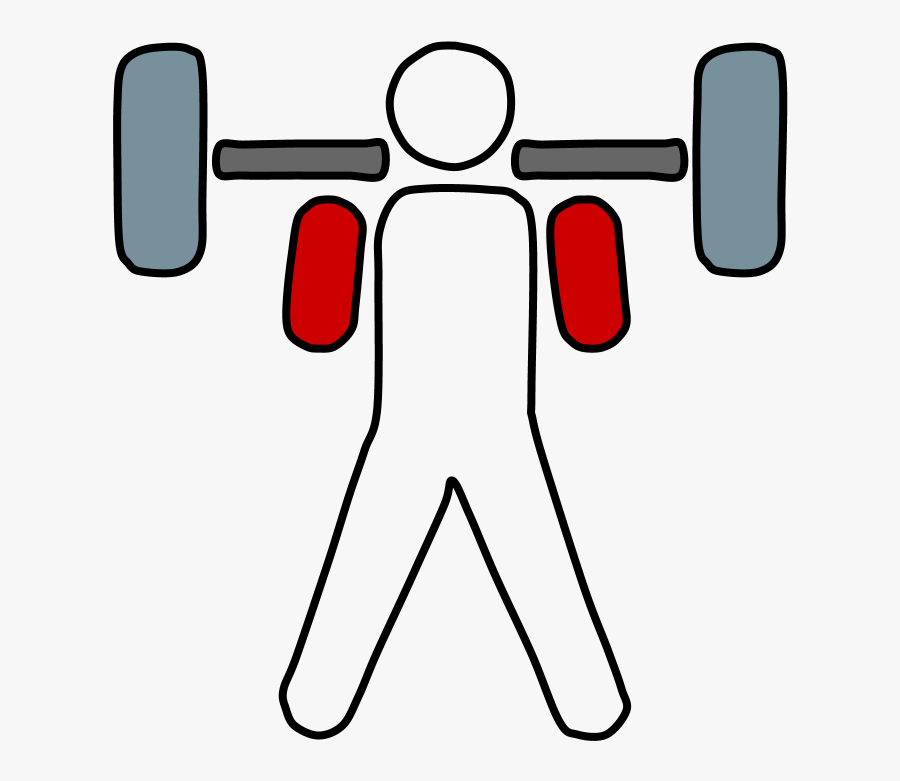 Olympic Weightlifting Clipart , Png Download, Transparent Clipart