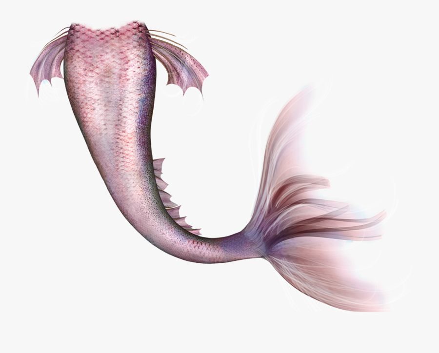 Mermaid Legendary Creature Fairy Tail - Mermaid Tail Png Free, Transparent Clipart