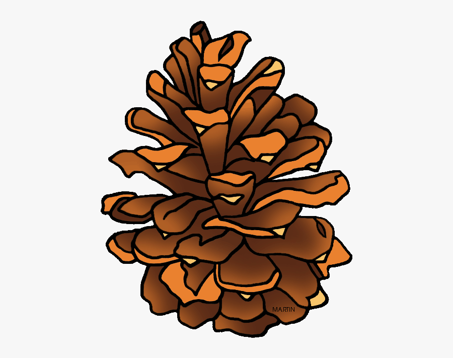 Minnesota State Tree - Cartoon Pine Cone Png, Transparent Clipart