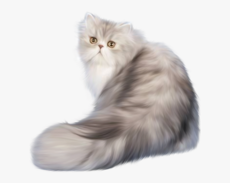 Persian Cat Ferret Kitten Clip Art, Transparent Clipart