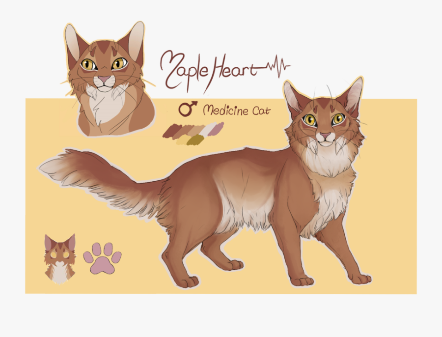 My Tom Who Represents - Warrior Cat Toms, Transparent Clipart