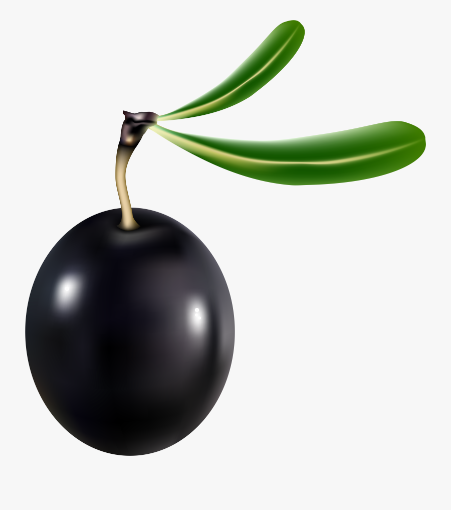 Black Olive Transparent Png Clip Art Imageu200b Gallery - Black Olive Png, Transparent Clipart