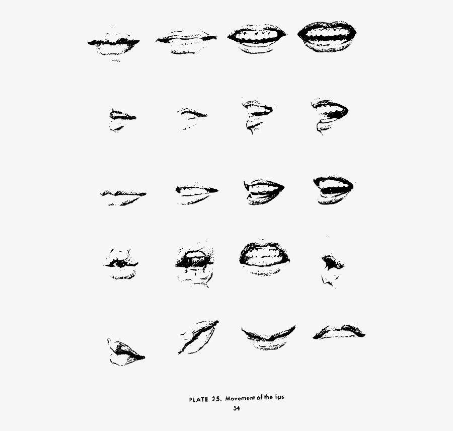 Realistic Mouth Expressions Drawing , Free Transparent Clipart - ClipartKey