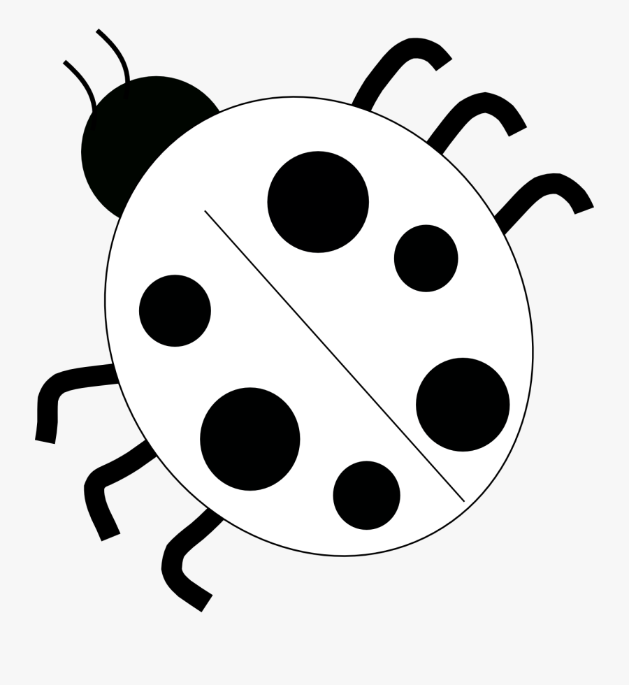 Ladybug Drawing Black And - Lady Bug Black And White, Transparent Clipart