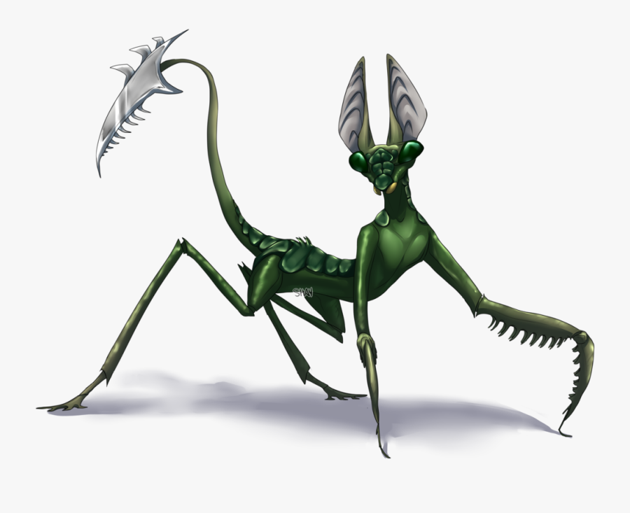 Mantis Png Clipart - Mantis Png, Transparent Clipart