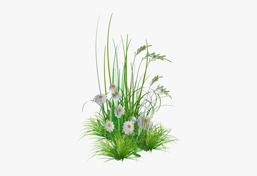 Flowers In Garden Png, Transparent Clipart