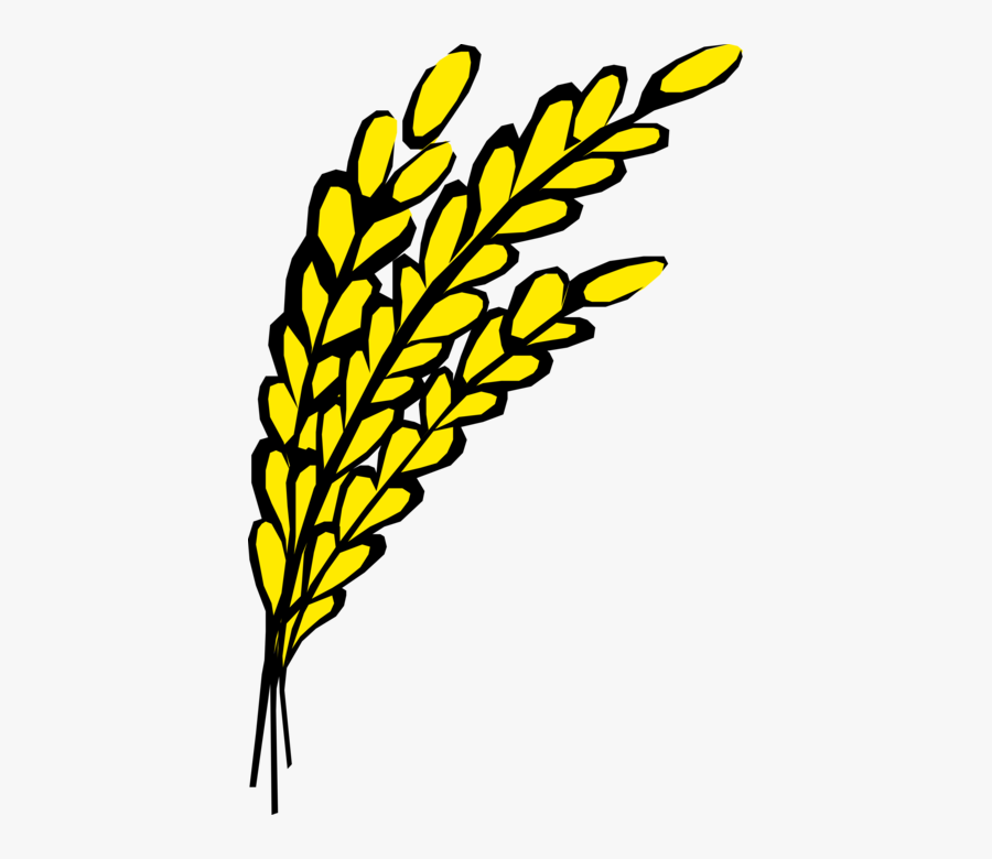 Vector Illustration Of Wheat Grain Of Cereal Grass - Transparent Oats Clipart, Transparent Clipart