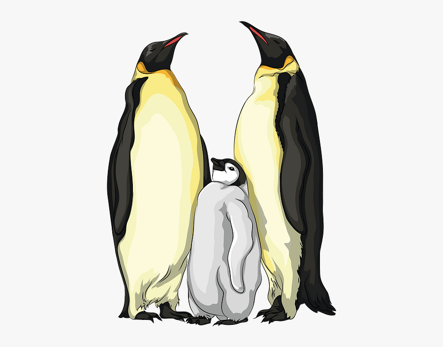 Emperor Penguin, Transparent Clipart