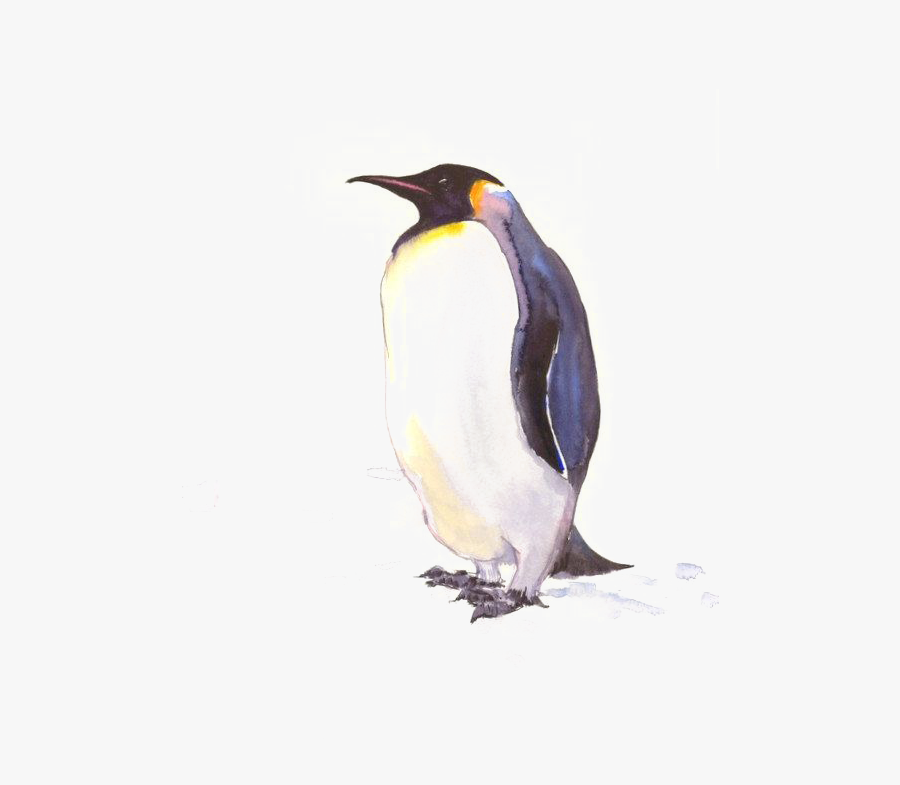 Penguins Clipart Watercolor - Penguin Watercolor Drawing, Transparent Clipart