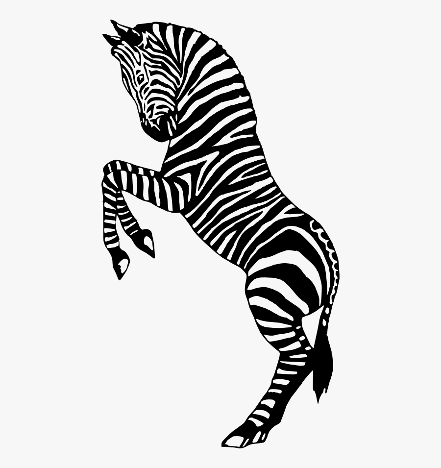 Zebra Silhouette, Transparent Clipart