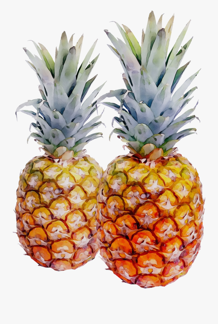 Portable Network Graphics Pineapple Transparency Image, Transparent Clipart
