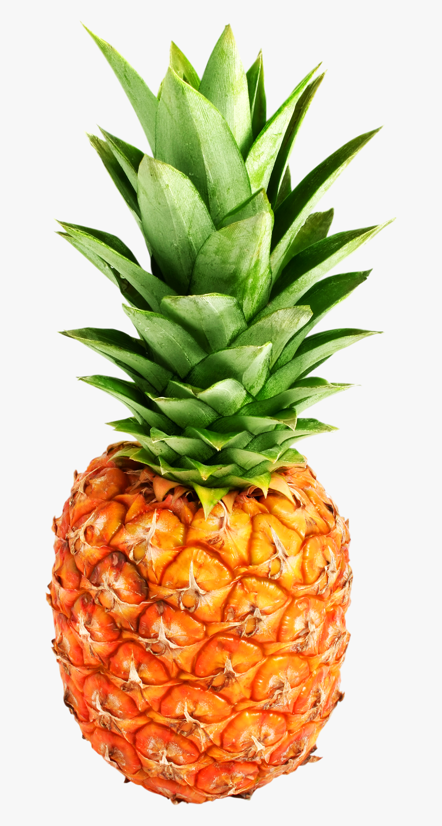 Pineapple Png Download - Pineapple Png, Transparent Clipart