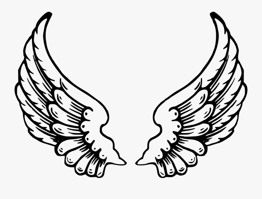 Wings Clipart Cool Bird - Lps Angel Wings, Transparent Clipart