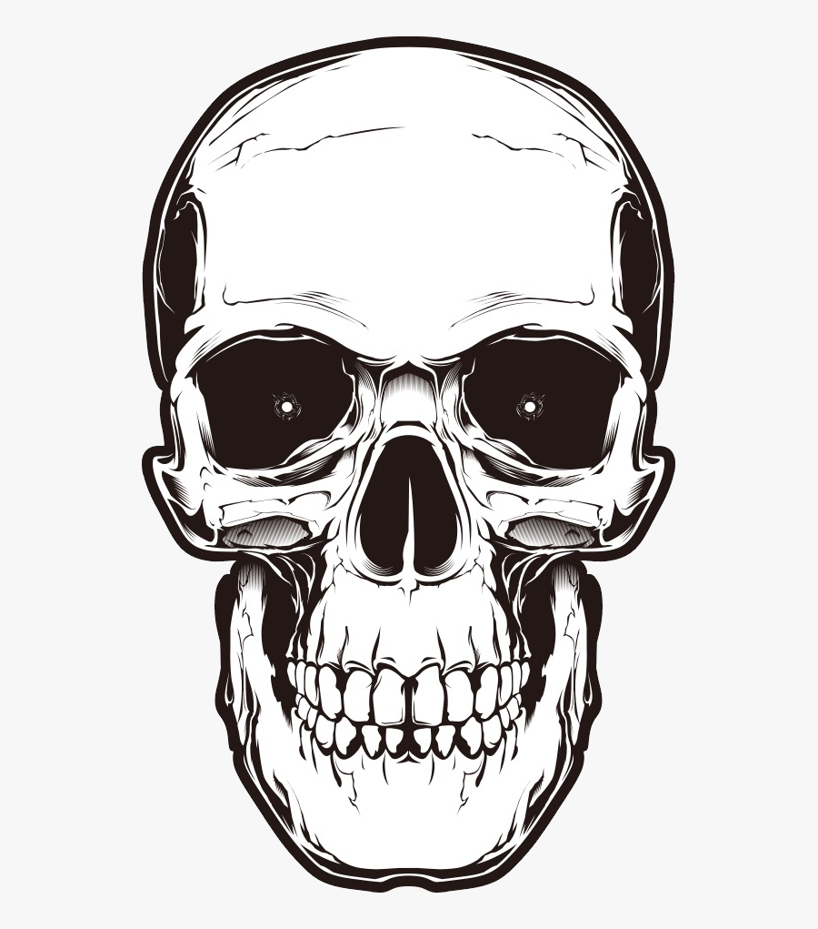 Human Skull Symbolism - Transparent Background Skull Head Png, Transparent Clipart