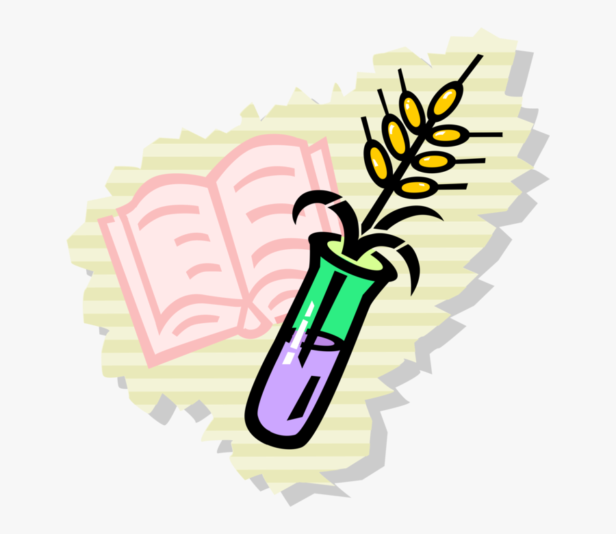 Vector Illustration Of Science Biology Education In, Transparent Clipart
