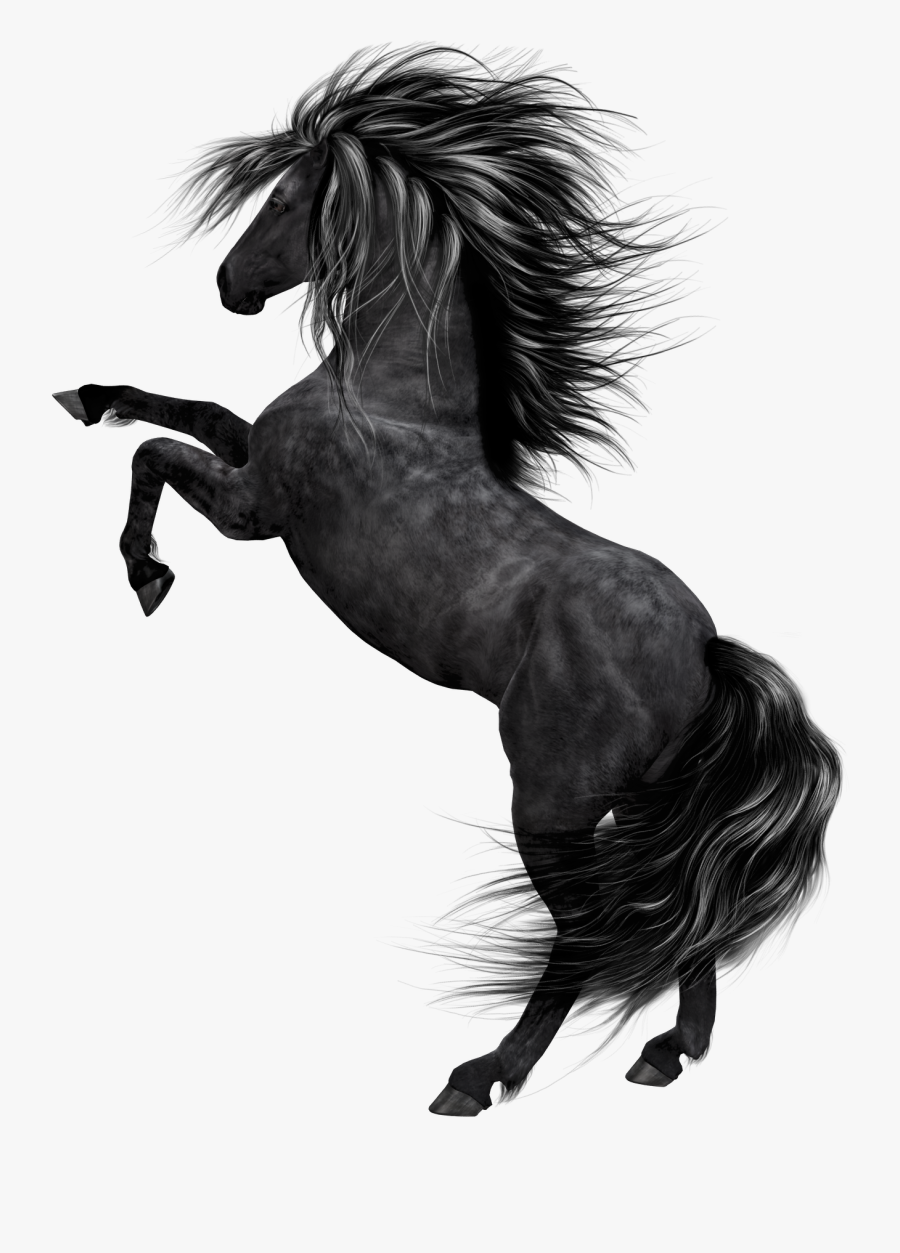 Stallion Clipart Black Horse - Black Horse Png, Transparent Clipart