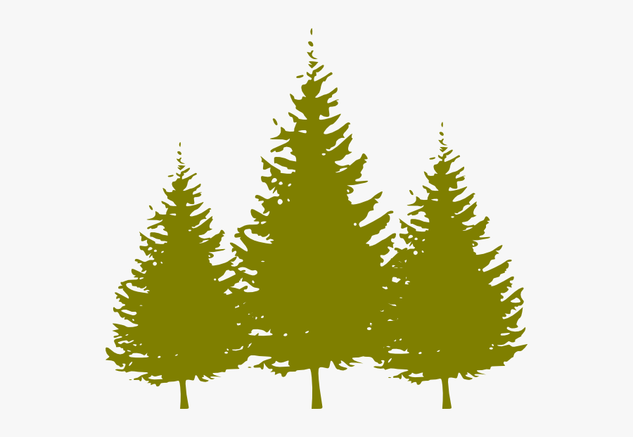 Transparent Free Clip Art Evergreen Trees - Blue Pine Tree Clipart, Transparent Clipart