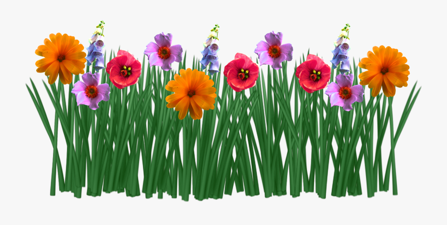 Colorful Flowers Free Image - Colorful Spring Flowers Drawing, Transparent Clipart