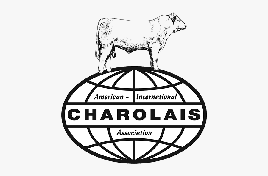 American International Charolais Association, Transparent Clipart