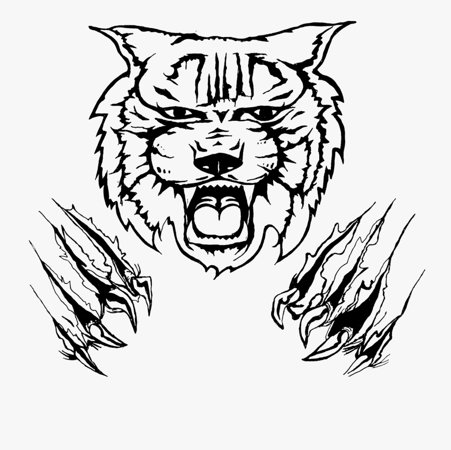 Drawing Of A Wildcat, Transparent Clipart
