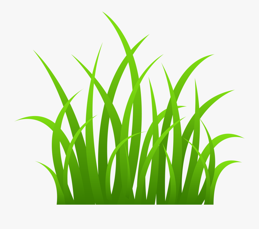 Seagrass Drawing With Transparent Background - Grass Clipart, Transparent Clipart