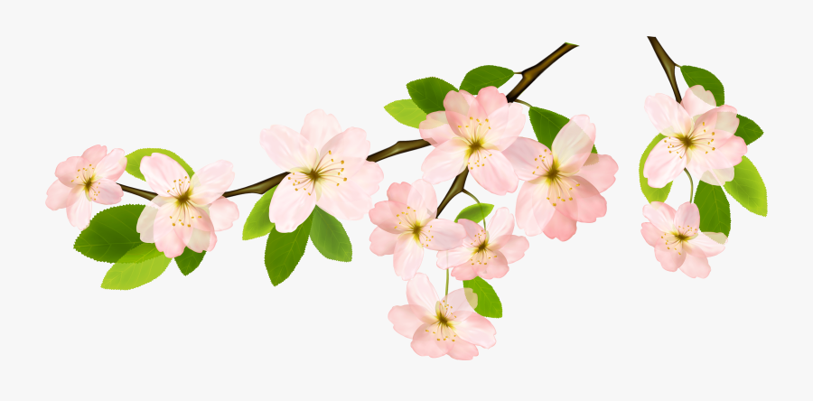 Spring Branch Png Clipart Picture - Spring Png, Transparent Clipart