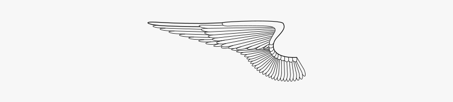 Wing Mitchell Johnson Si Svg Clip Arts - Sketch, Transparent Clipart