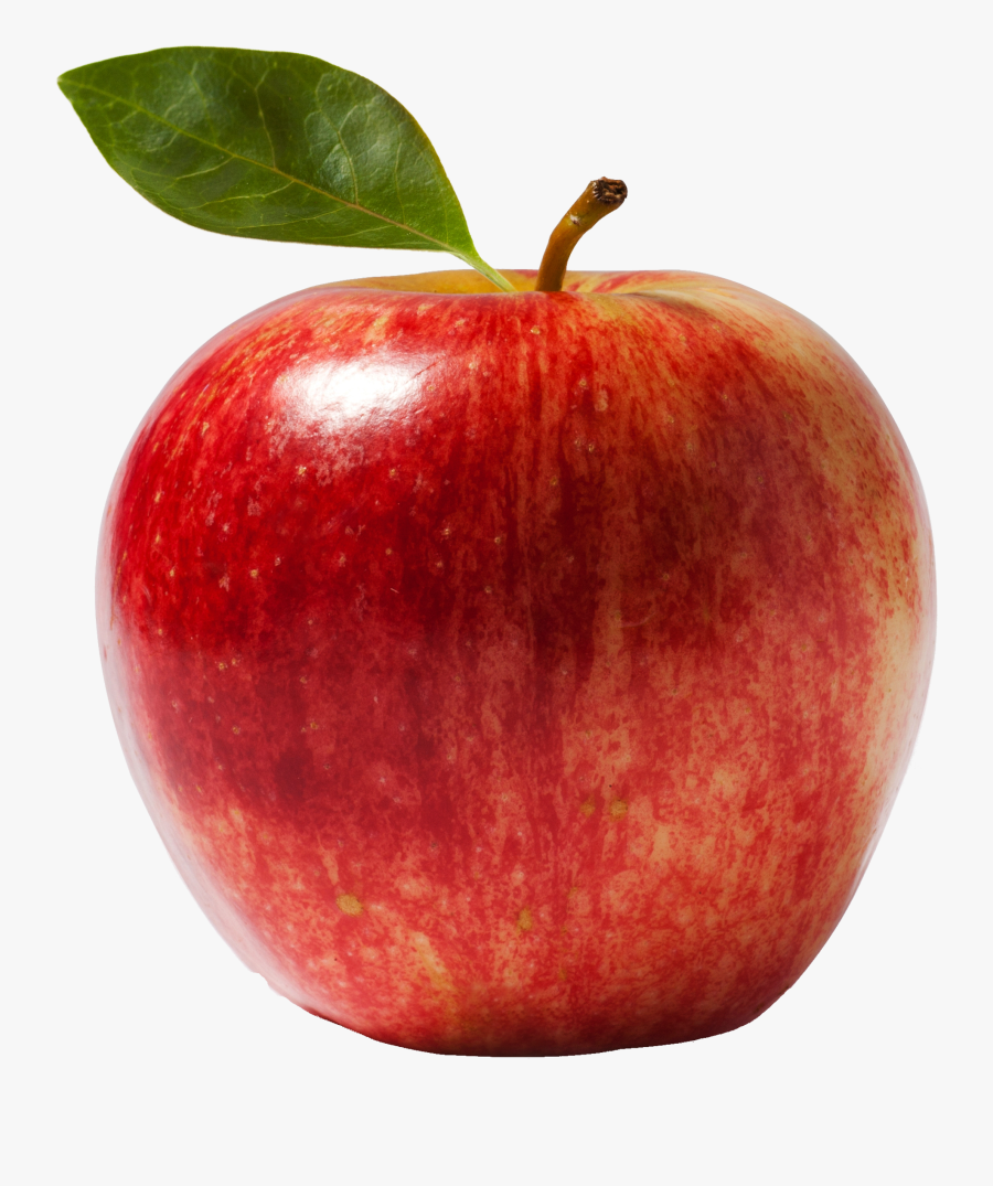 scientific-name-of-apple-free-transparent-clipart-clipartkey