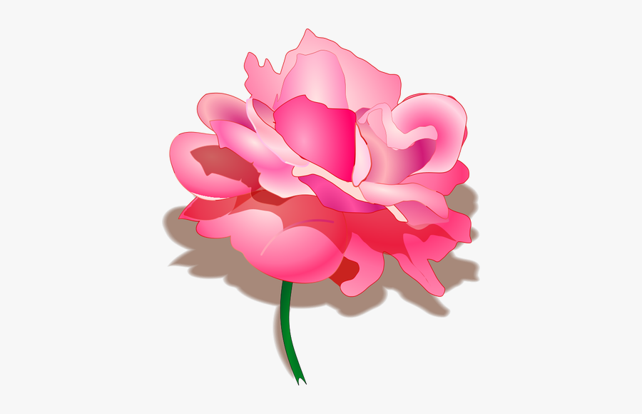 Vector Drawing Of Rose - Rakhi Special Image In Hindi, Transparent Clipart