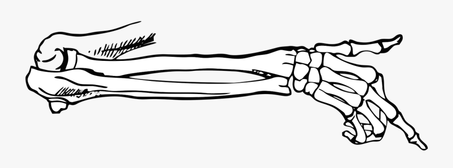 Cartoon Skeleton Arm Png, Transparent Clipart