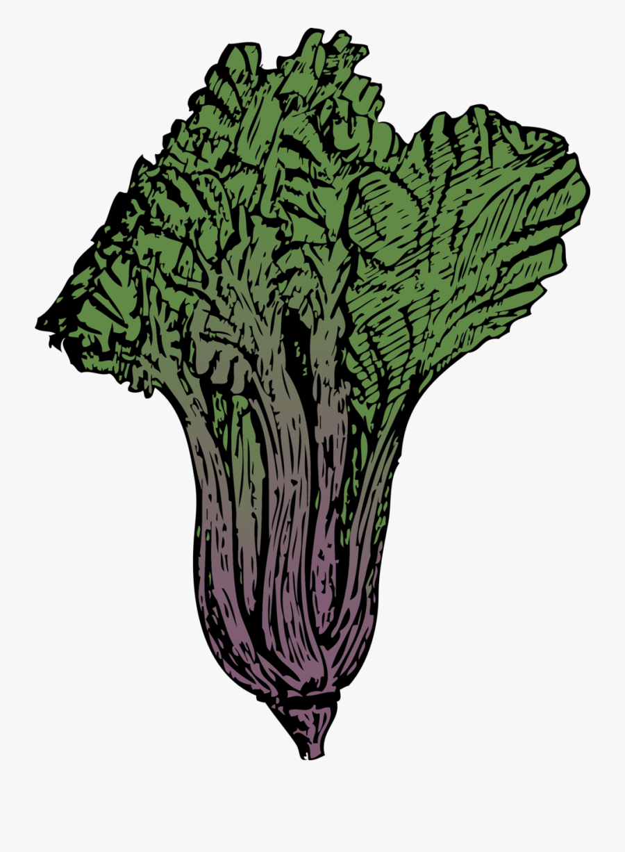 Swiss Chard Clipart, Transparent Clipart