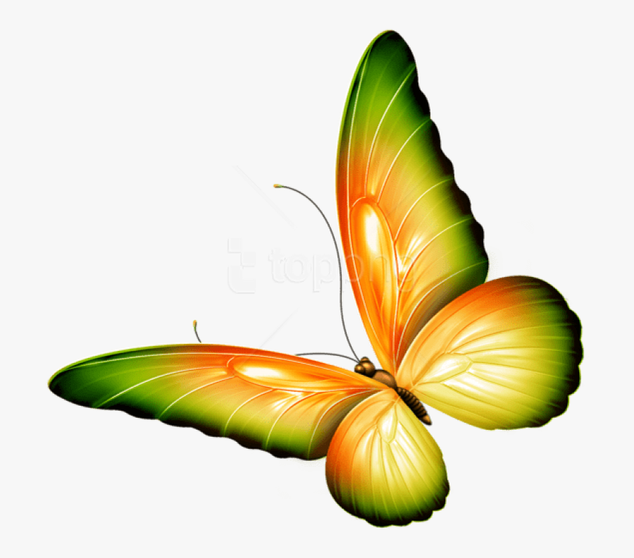 Free Png Download Yellow And Green Transparent Butterfly - Transparent Background Butterfly Clipart, Transparent Clipart