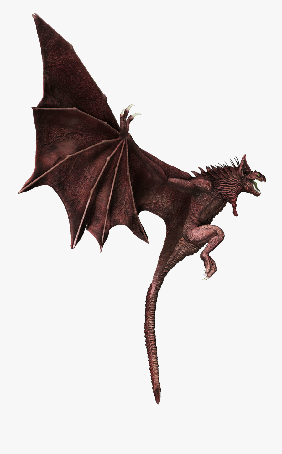 Dragon, Transparent Clipart