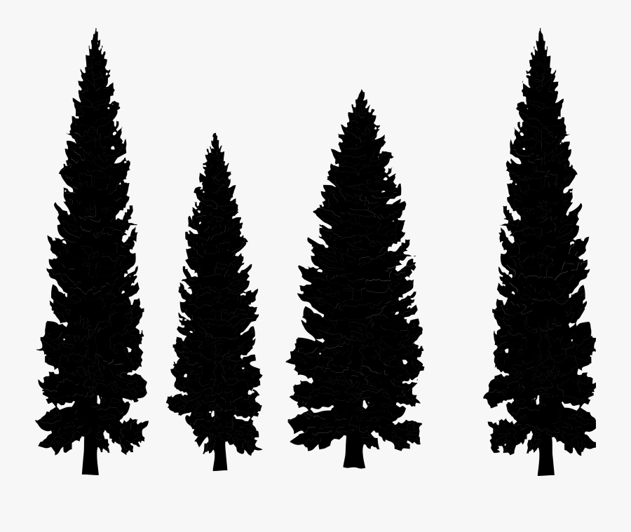 Pine Trees Clipart Png , Free Transparent Clipart - Clipartkey