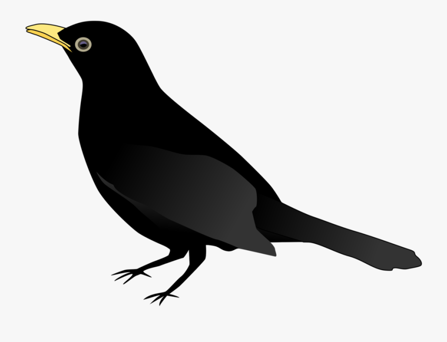 Crow,bird,emberizidae - Black Bird Clipart Png, Transparent Clipart