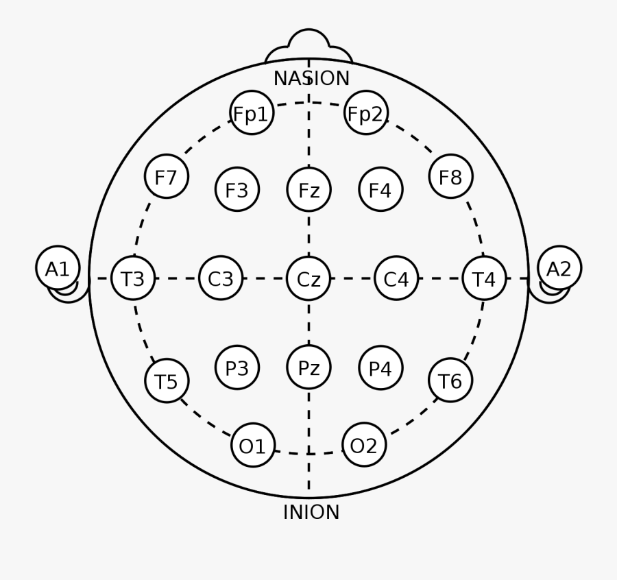 10 - Eeg Electrodes, Transparent Clipart