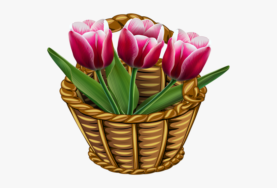 Canasta De Tulipanes, Transparent Clipart