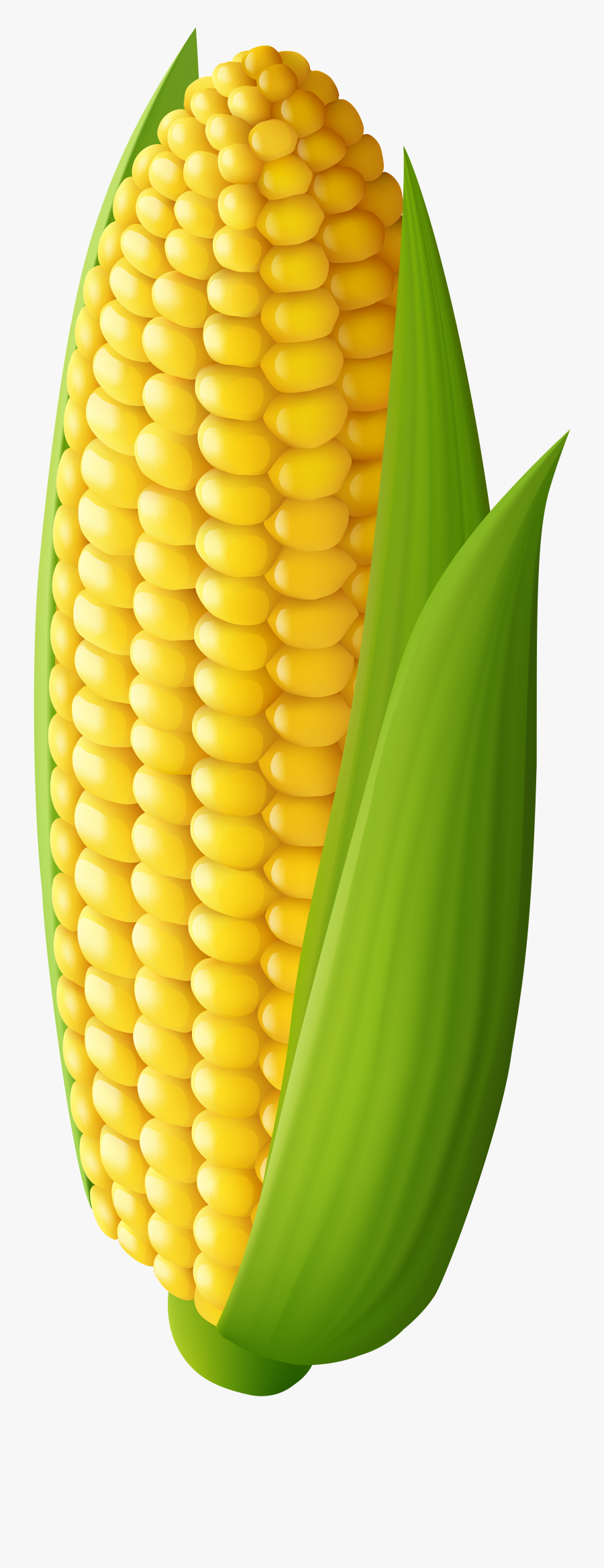 Corn Clipart Png - Transparent Background Corn Clipart, Transparent Clipart