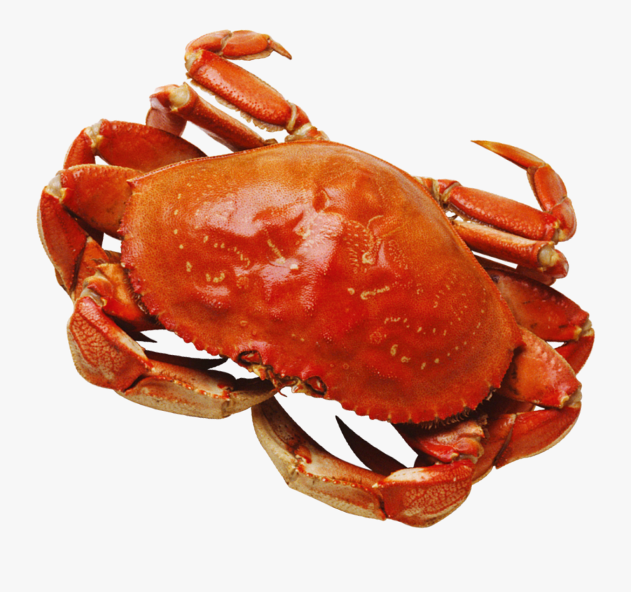 Crab Png, Transparent Clipart