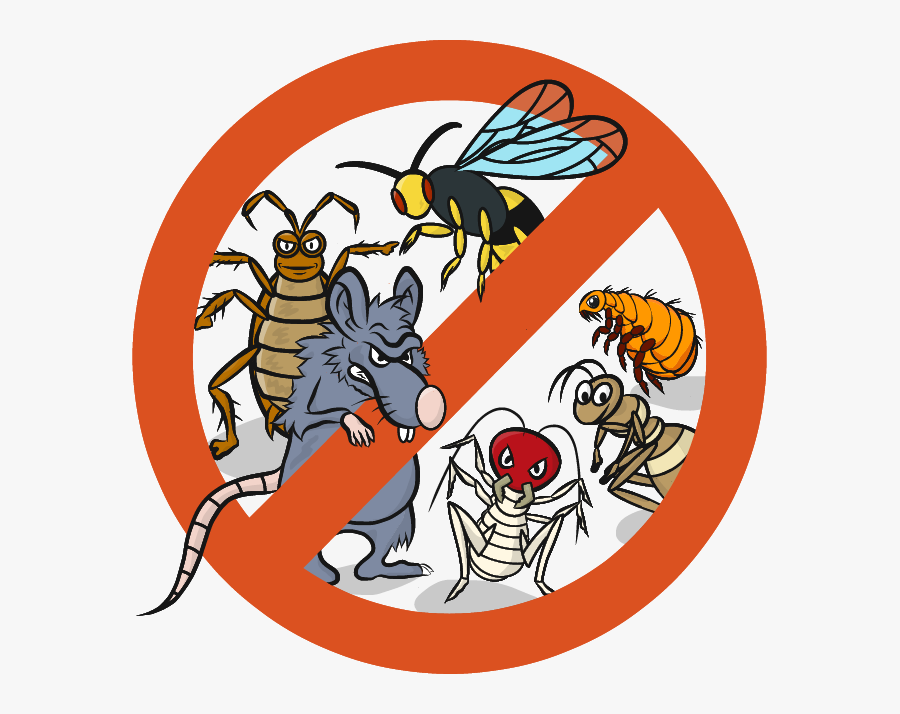 Real Pest Management - Pest Management Cartoon, Transparent Clipart