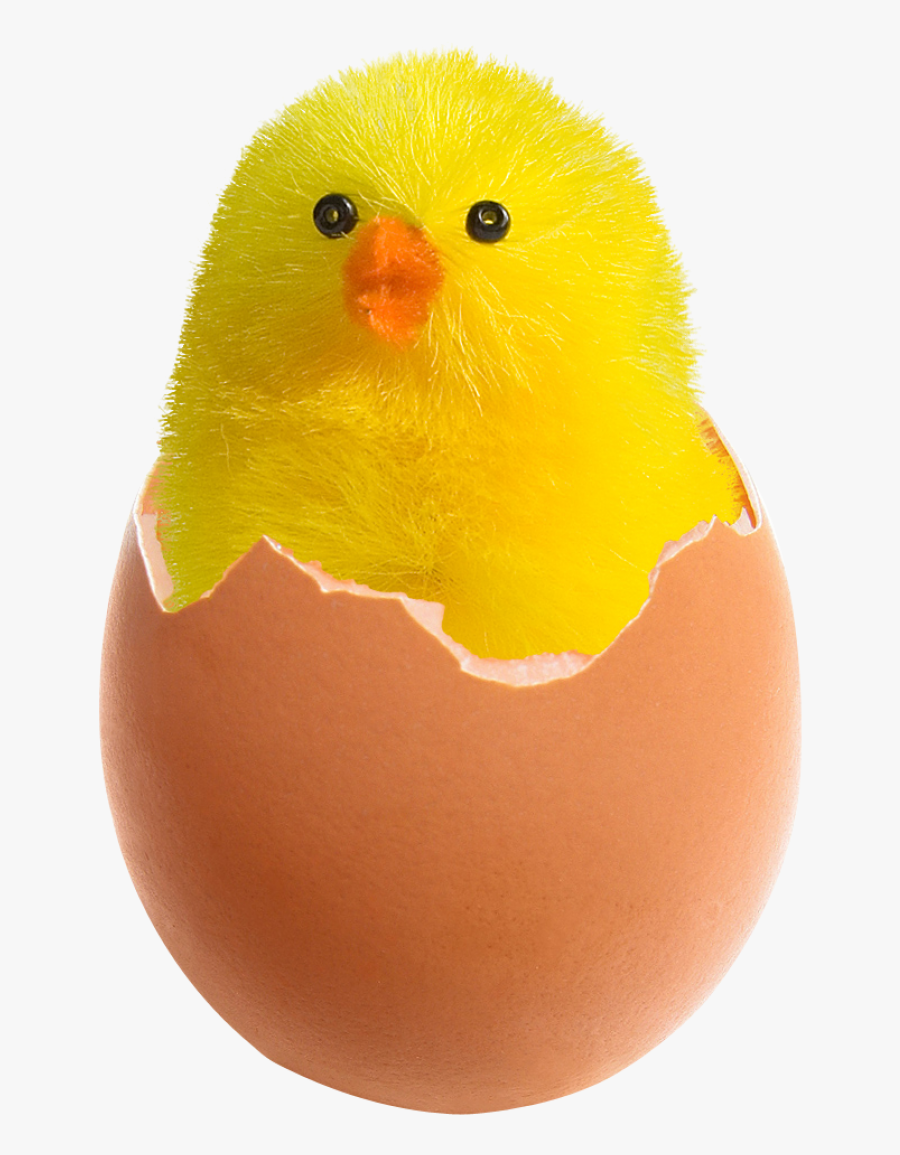 Chicken In Broken Egg Png Image - Chicken Egg Png Transparent, Transparent Clipart