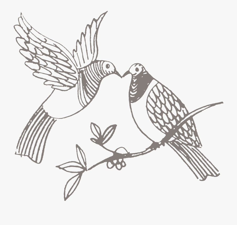 Icon Illustrations By Donna Cross For Lj Park - House Sparrow, Transparent Clipart