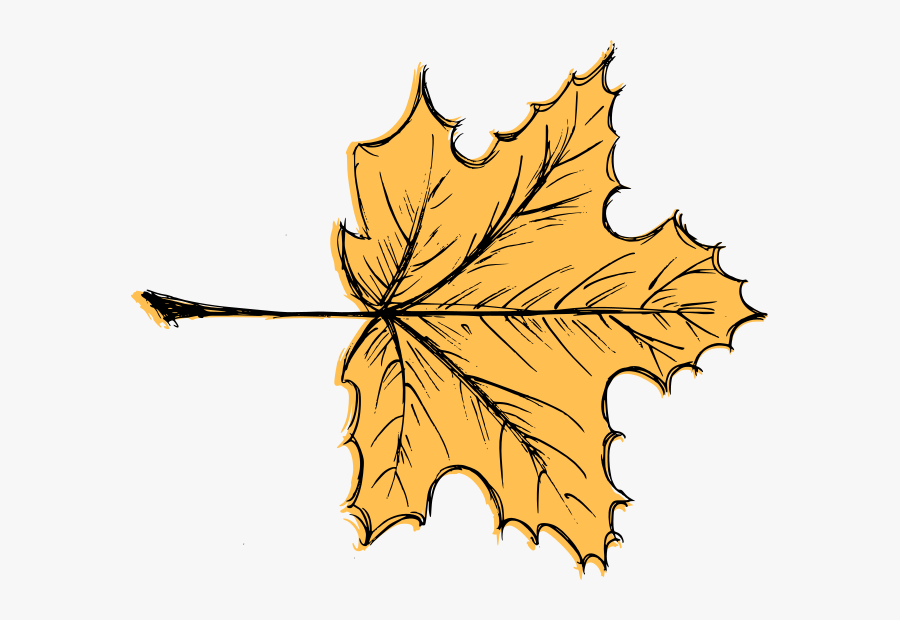 Leaf Drawing Vector 3, Transparent Clipart
