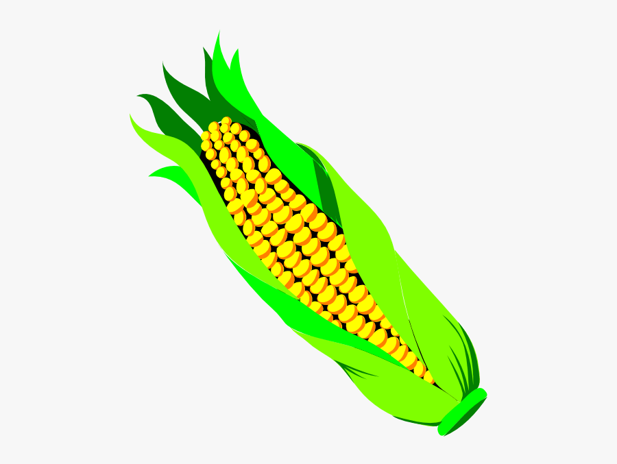 Corn On The Cob Clip Art - Ear Of Corn Transparent Background, Transparent Clipart