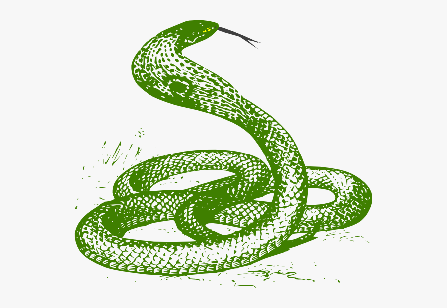 Green Snake Svg Clip Arts - Cobra Snake Drawing, Transparent Clipart