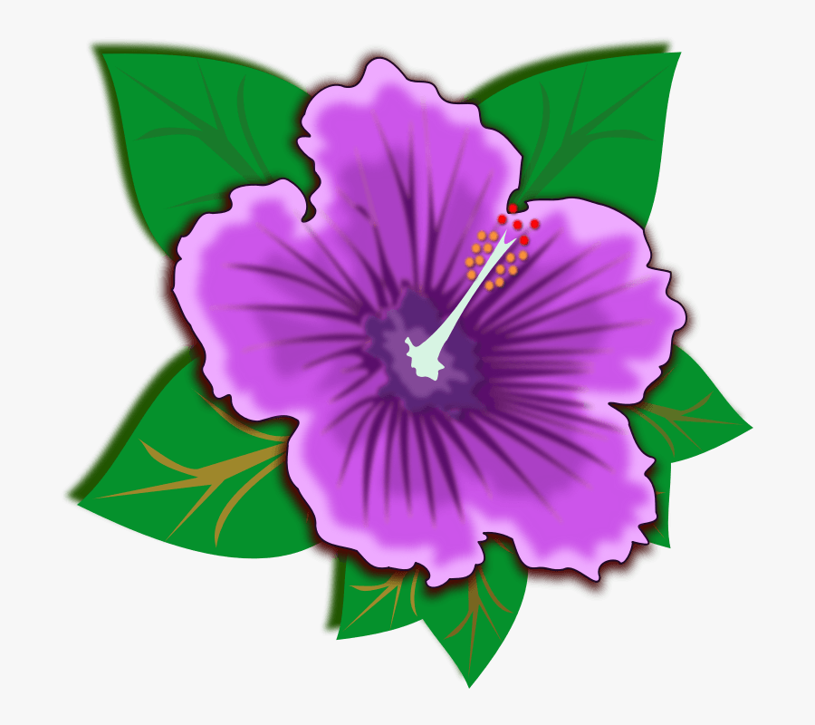 Purple Hibiscus Symbol