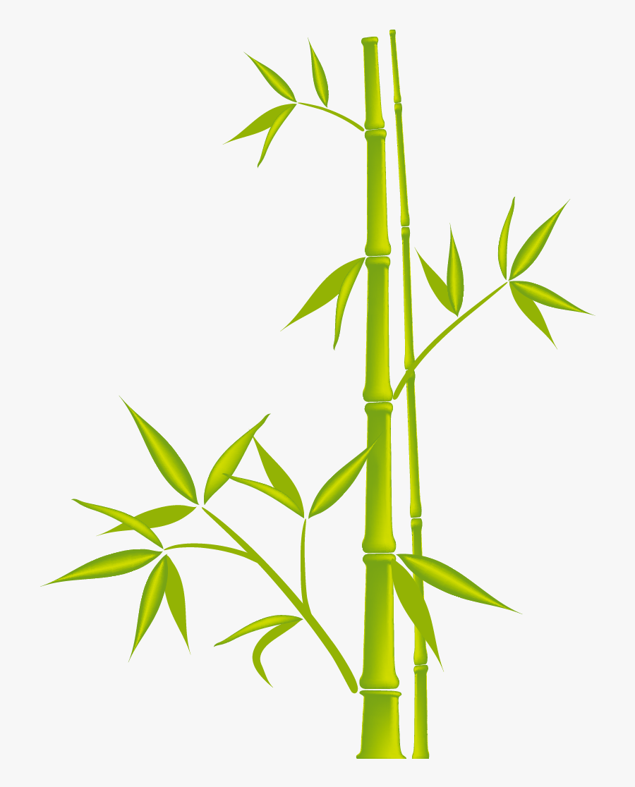 Bamboo Png - Bamboo Vector, Transparent Clipart