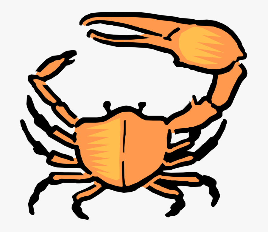 Vector Illustration Of Cartoon Crustacean Crab - Travis Fiddler Crab, Transparent Clipart